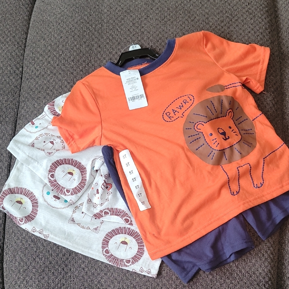 Orange Lion Graphic T-Shirt and Shorts Set